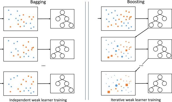 Understanding User Pain Points through Animation