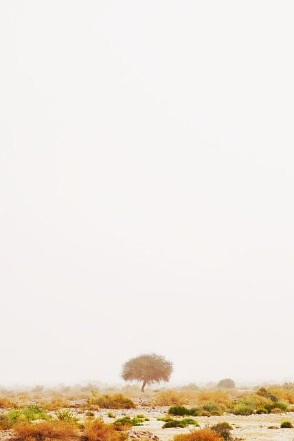 Content ​Prioritization: Highlighting Essential Information Without ‌Clutter