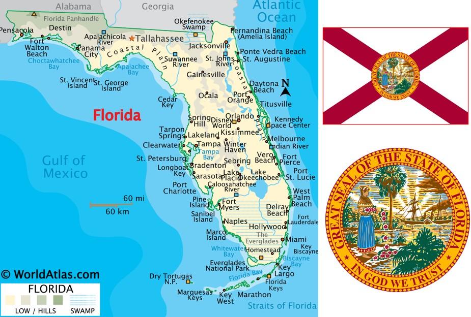 Breaking Down Successful User Experience Strategies Used by⁣ Local Designers